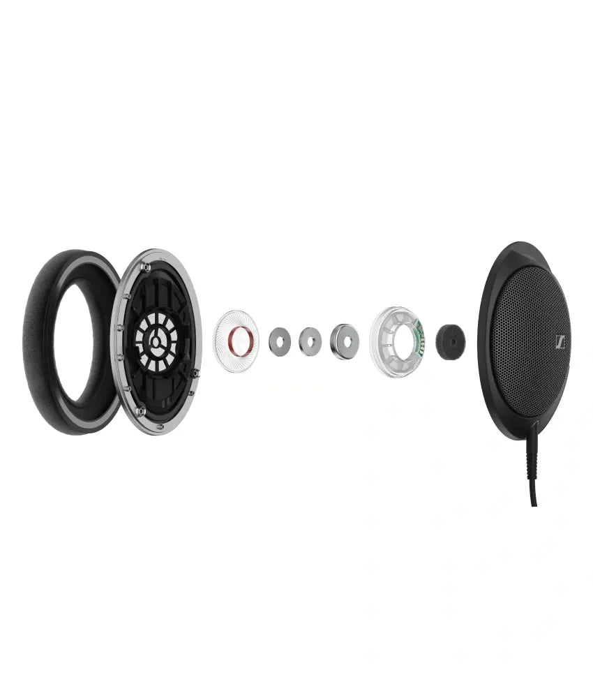 Momentum Sport Img 02