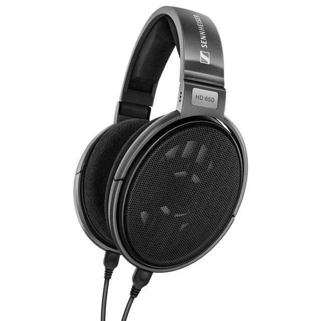 HD 650 Open Back Over Ear Wired Audiophile Headphones