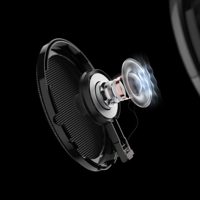 HD 650 Open Back Over Ear Wired Audiophile Headphones