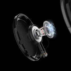 HD 650 Open Back Over Ear Wired Audiophile Headphones