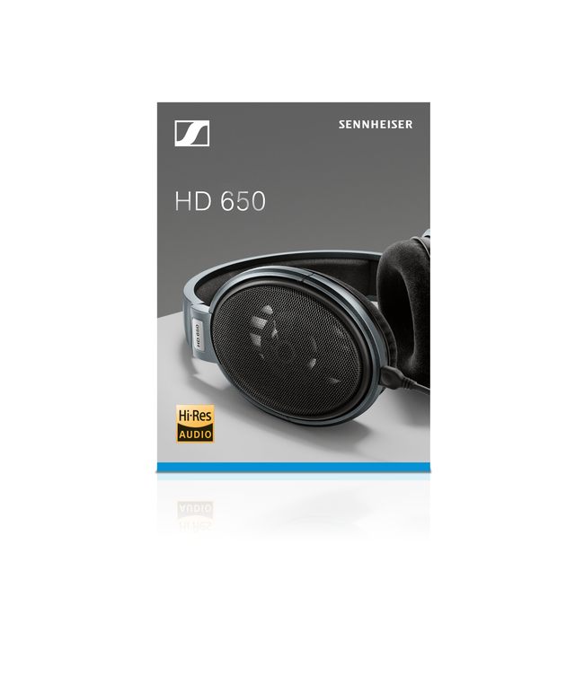 HD 650 Open Back Over Ear Wired Audiophile Headphones