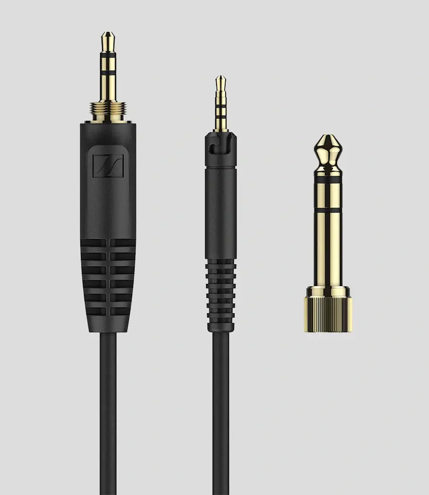 Momentum Sport Img 02