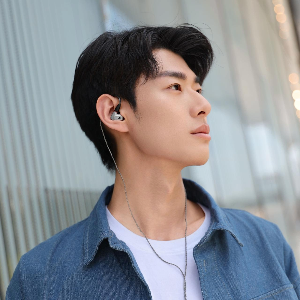 IE 200 Wired Audiophile In Ears Silver Edition