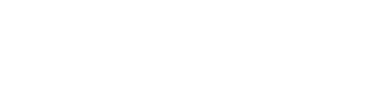 Momentum 5 Wireless 